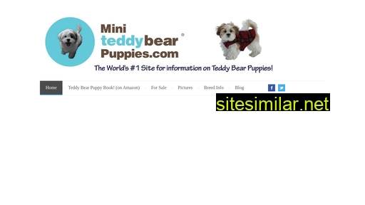 Miniteddybearpuppies similar sites