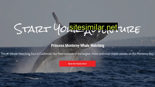 Montereywhalewatching similar sites