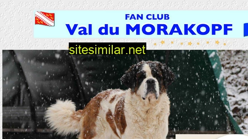 morakopf.com alternative sites