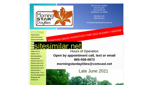 Morningstardaylilies similar sites
