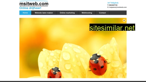 msitweb.com alternative sites
