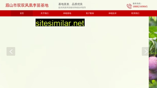 msssfhl.com alternative sites