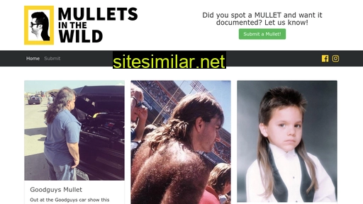 mulletsinthewild.com alternative sites