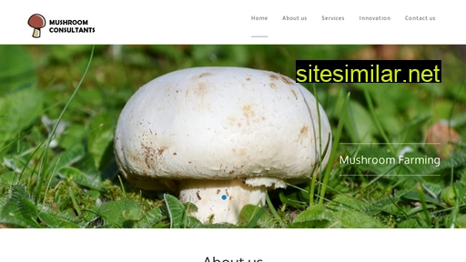 mushroomconsultants.com alternative sites