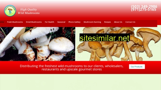 mushroomsforest.com alternative sites