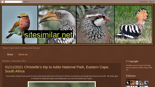 Myafricanbirds similar sites