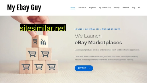 myebayguy.com alternative sites