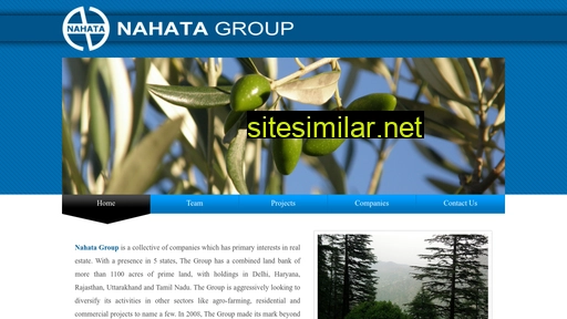 nahatagroup.com alternative sites