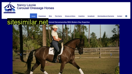 nancylaterdressagehorses.com alternative sites