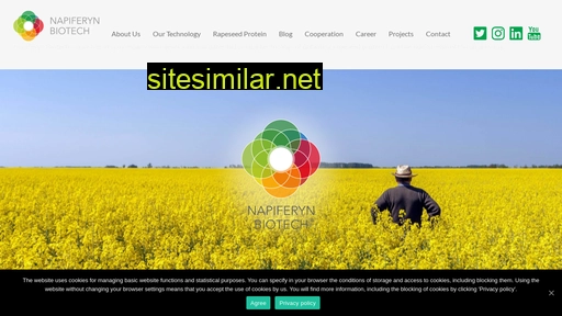 napiferyn.com alternative sites