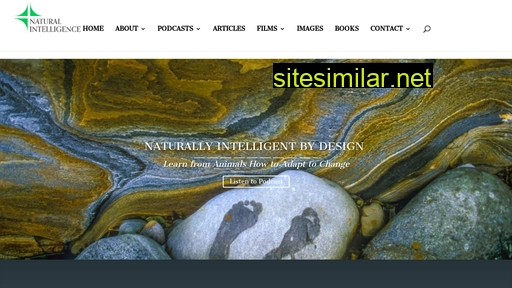 naturalintelligence.com alternative sites