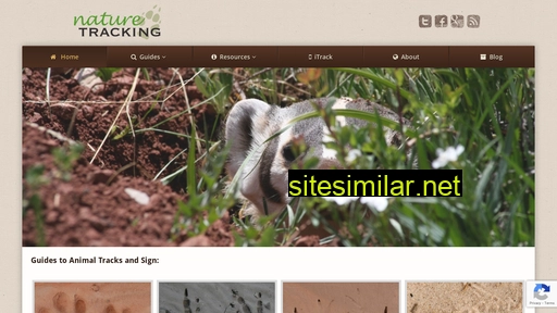 naturetracking.com alternative sites