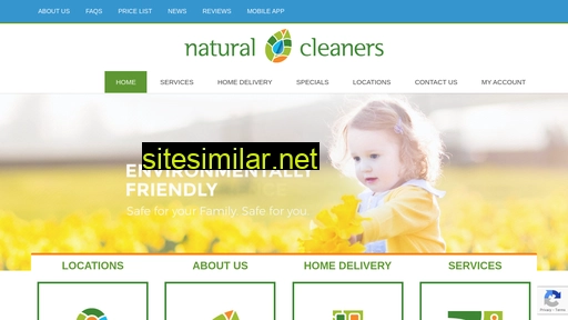 naturalcleaners.com alternative sites