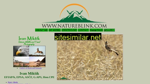 natureblink.com alternative sites