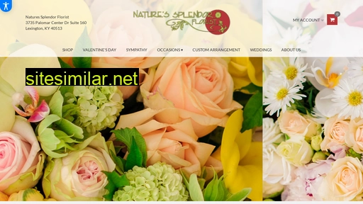 naturessplendorflorist.com alternative sites