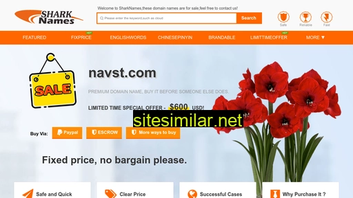 navst.com alternative sites
