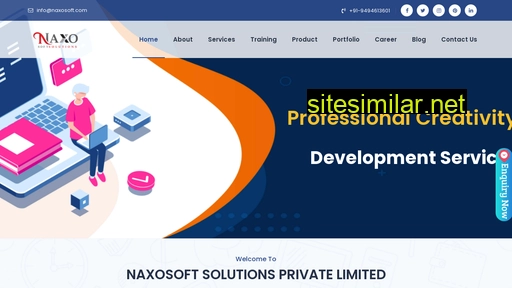 naxosoft.com alternative sites