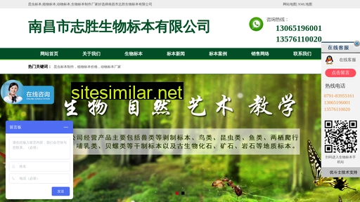 nczhisheng.com alternative sites