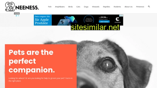 neeness.com alternative sites