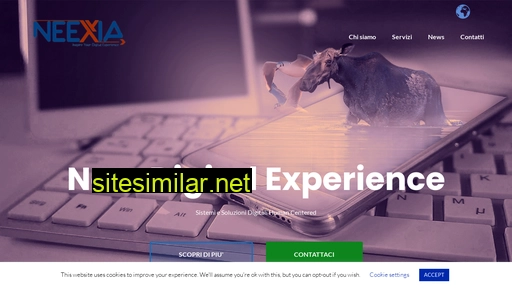 neexia.com alternative sites