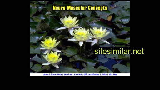 Neuromuscularconcepts similar sites