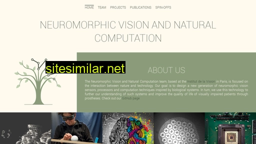 neuromorphic-vision.com alternative sites