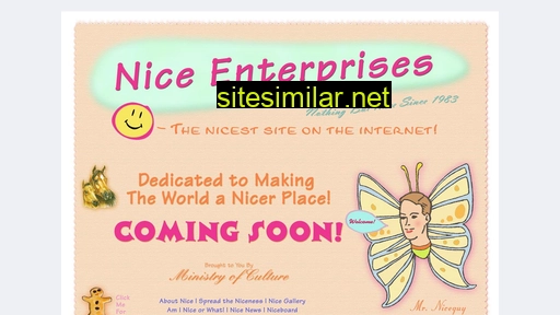 niceenterprises.com alternative sites