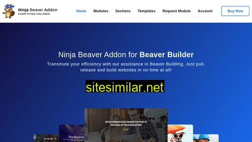 ninjabeaveraddon.com alternative sites