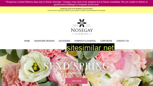 nosegayflowers.com alternative sites