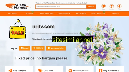 nritv.com alternative sites