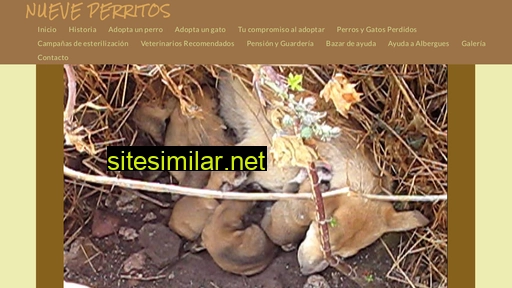 nueveperritos.com alternative sites