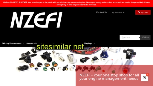 nzefi.com alternative sites