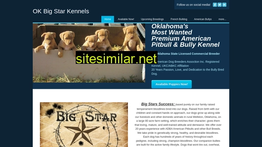 okbigstarkennels.com alternative sites