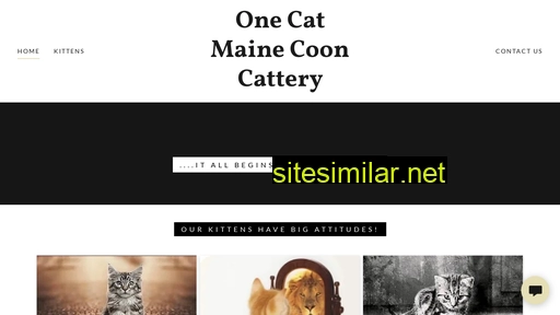 onecatmainecoon.com alternative sites