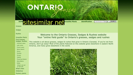 ontariograsses.com alternative sites