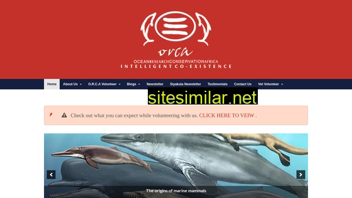 orcafoundation.com alternative sites
