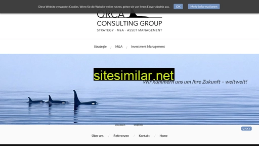 Orca-consulting-group similar sites