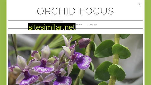 Orchidfocus similar sites