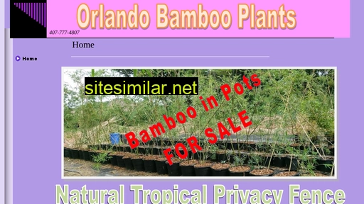 orlandobamboo.com alternative sites