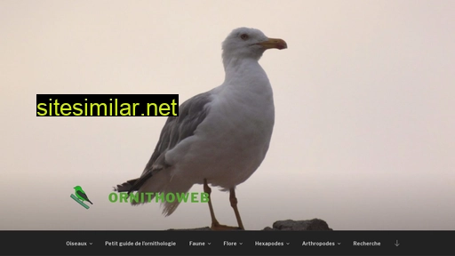 Ornithoweb similar sites