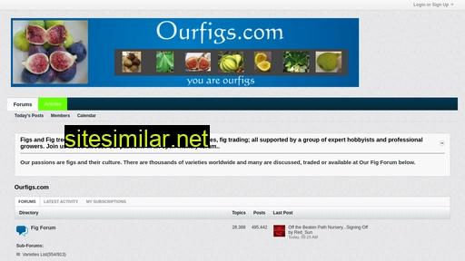 Ourfigs similar sites