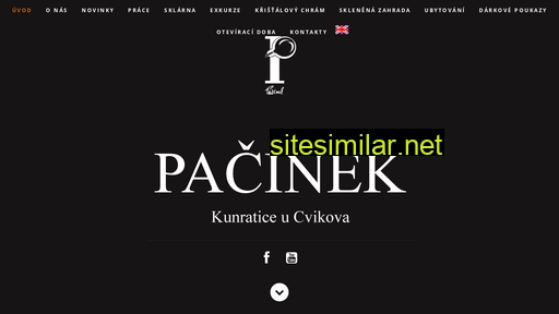 pacinekglass.com alternative sites