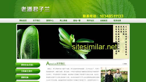 panfengjiang.com alternative sites