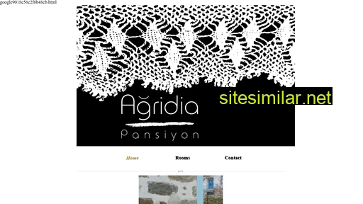 pansiyonagridia.com alternative sites