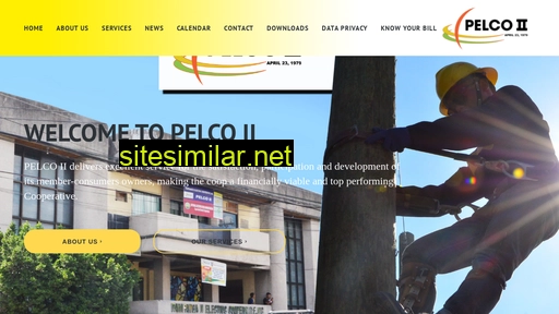 pelco2.com alternative sites