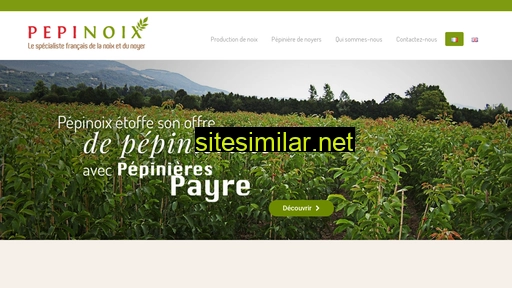 pepinoix.com alternative sites