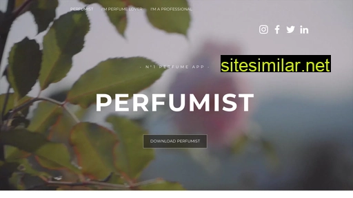 perfumist.wixsite.com alternative sites