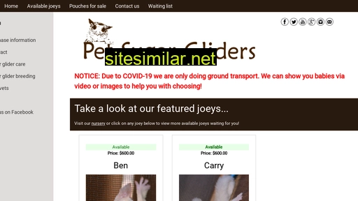 petsugargliders.com alternative sites