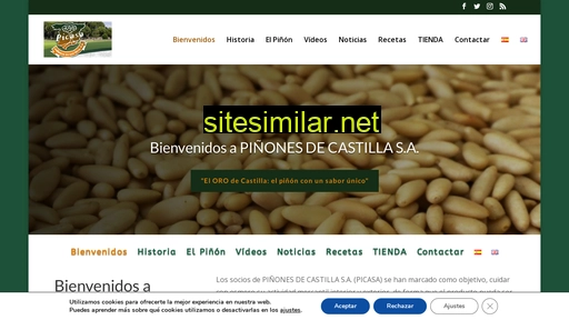 pinonesdecastilla.com alternative sites