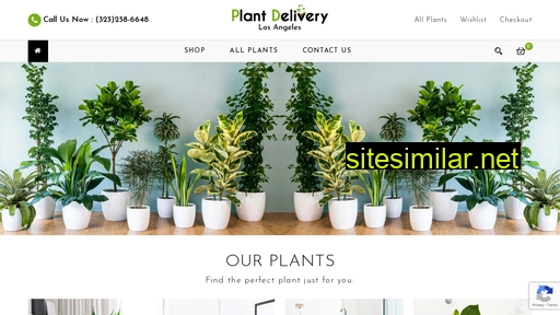 plantdeliverylosangelesca.com alternative sites